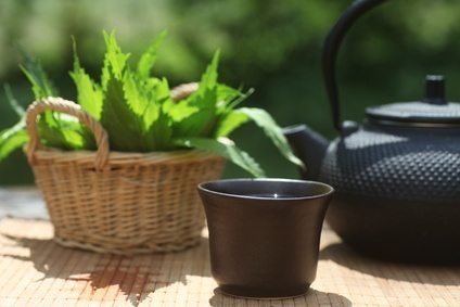 China Jade Dung Ting Oolong